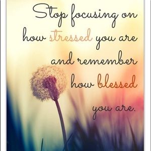 Meet your Posher, Liz